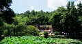 長沙出發(fā)到花明樓、韶山、張家界國家森林公園、天門仙山國家森林公園四日游